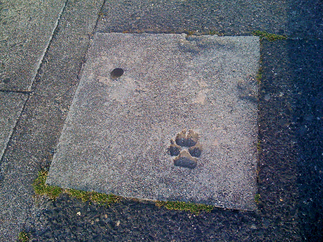 コンクリートの足跡